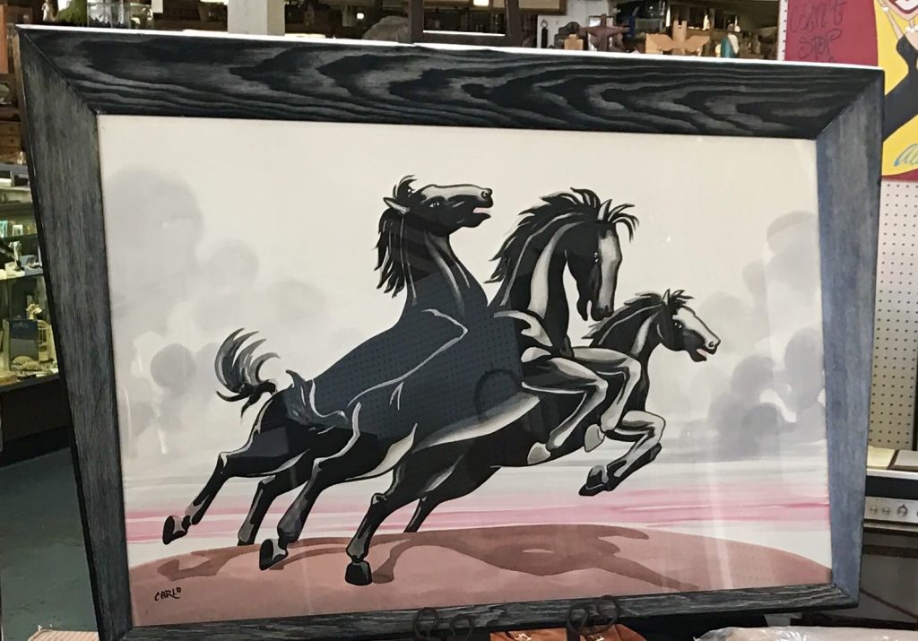 Carlo of Hollywood Black Stallion Horses